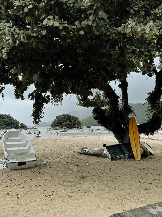 Boats and a yellow surfboard under a tree on a beach