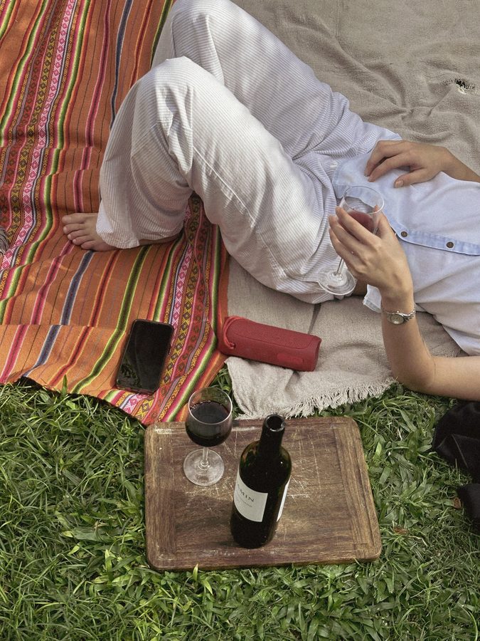 Picnic on a striped blanket with red wine